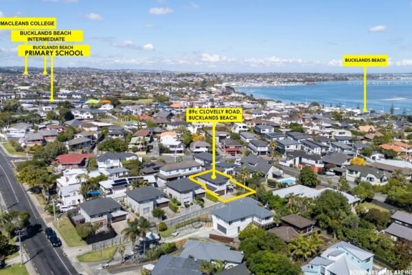 image (17) image (17)